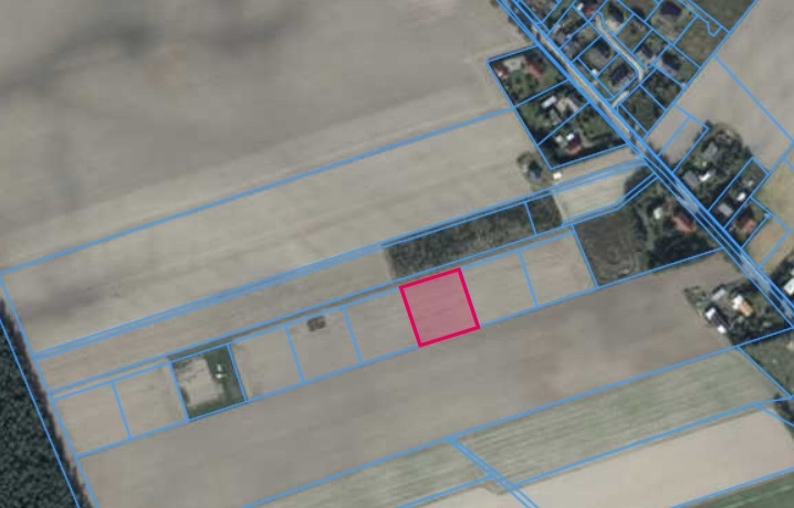 Działka gm. Skoki Rościnno