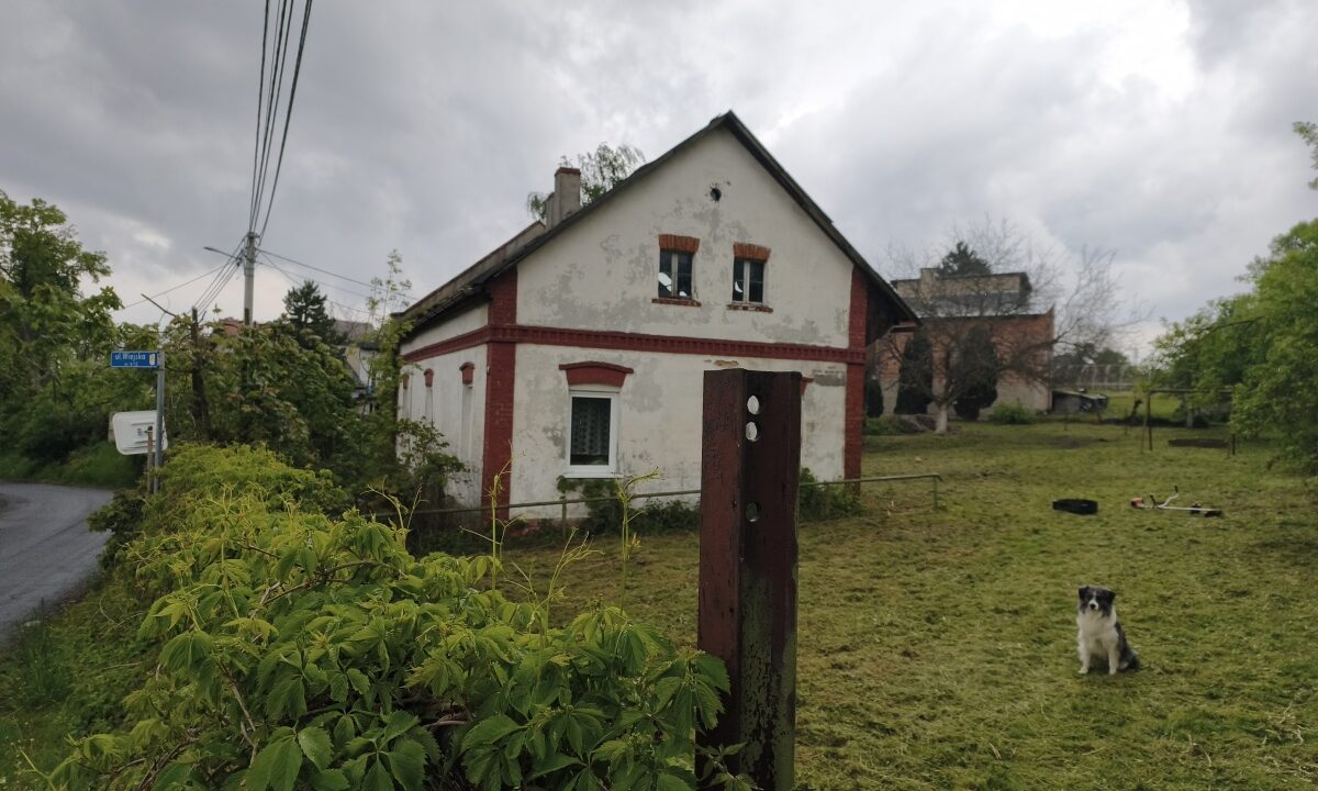 236877_3.jpg