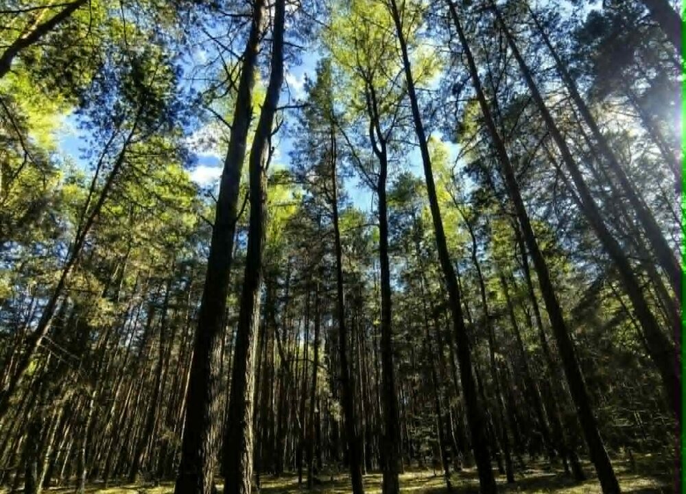 237105_3