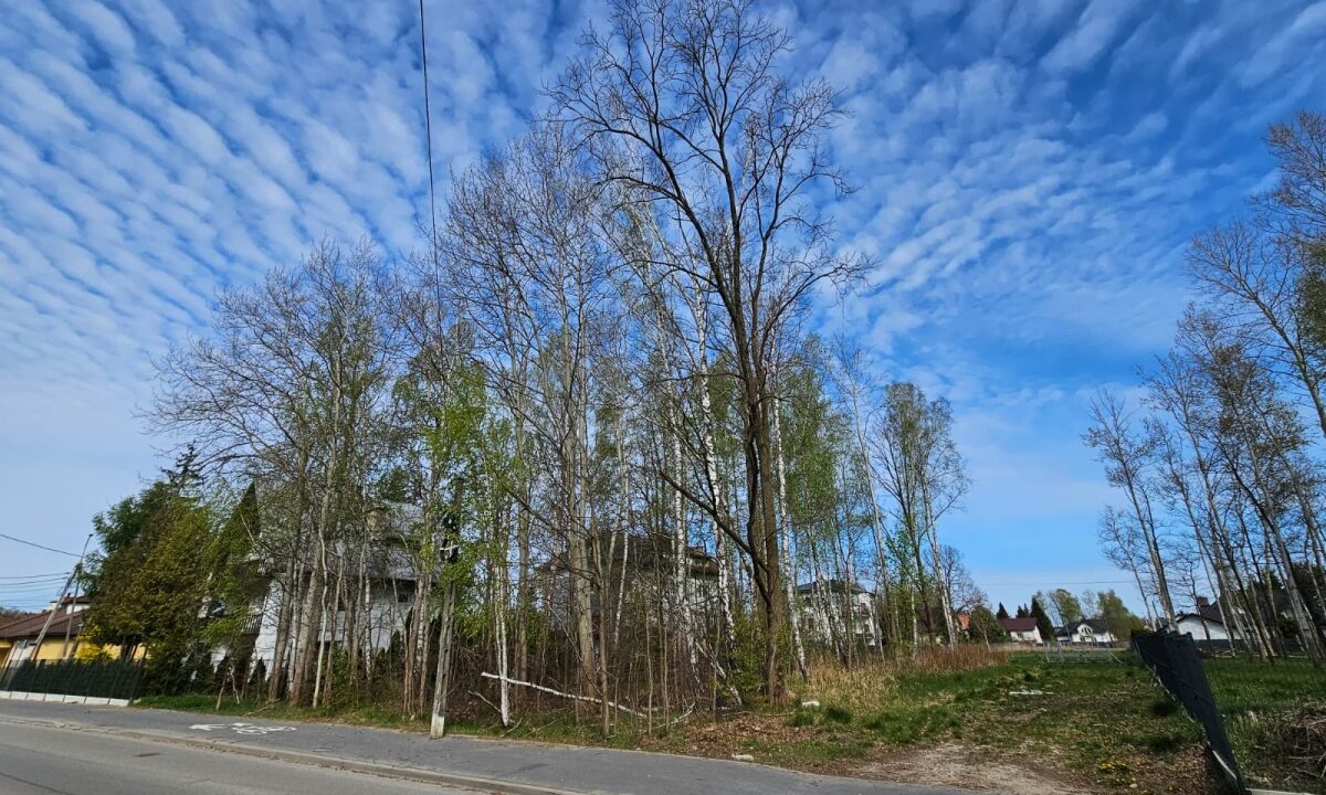 238439_3.jpg