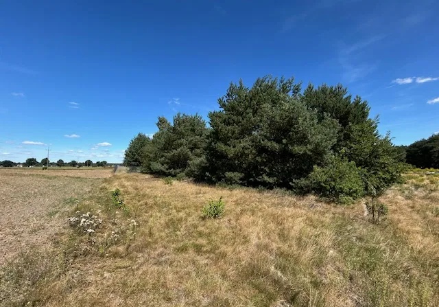 238464_3.jpg