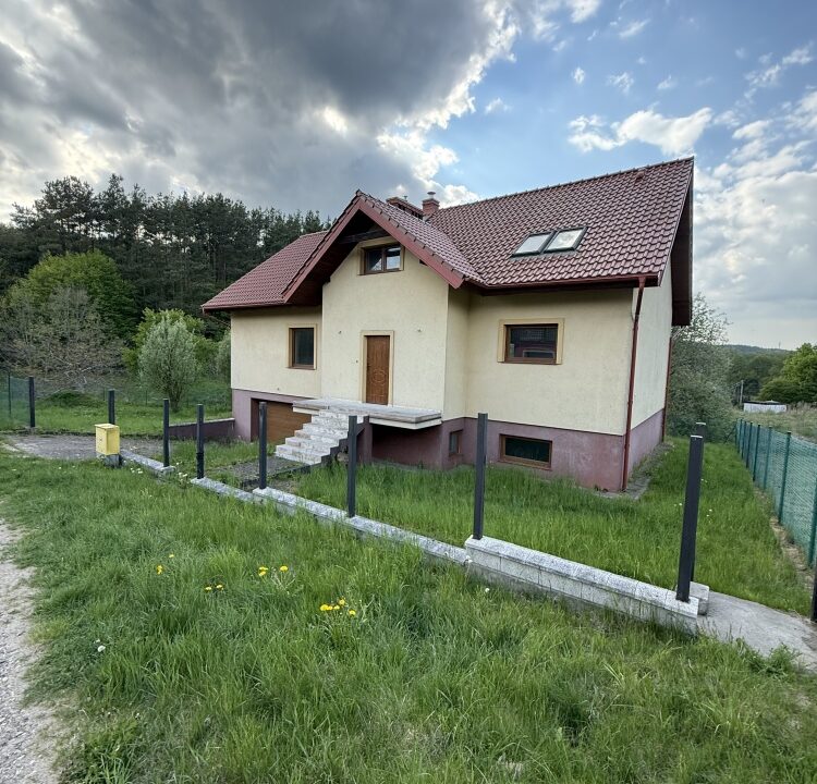 239910_3.jpg