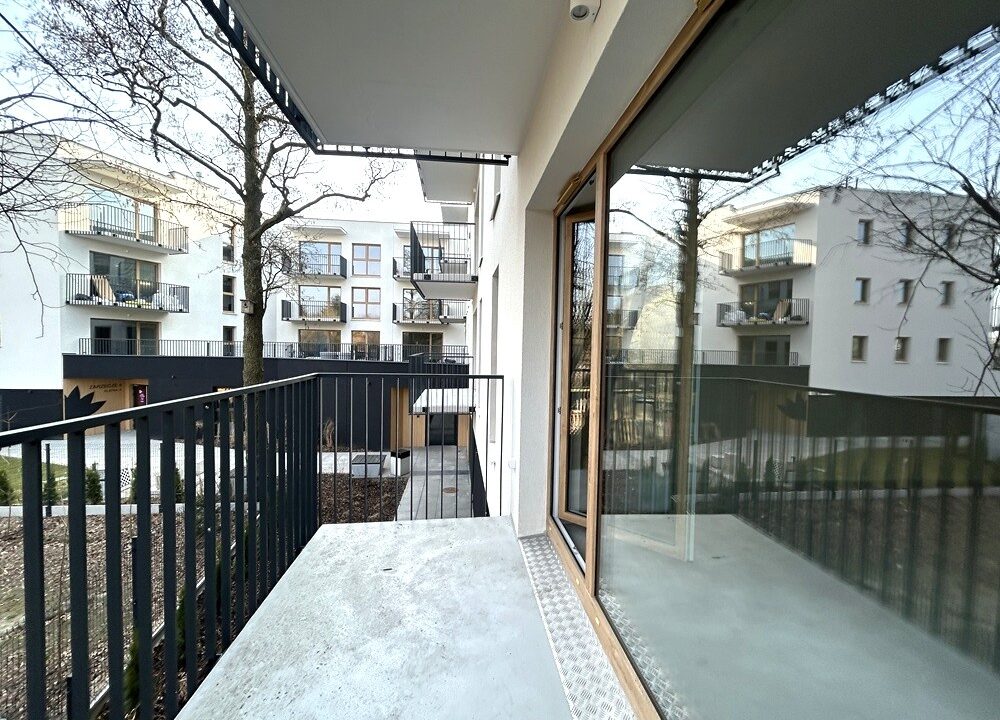 242941_3