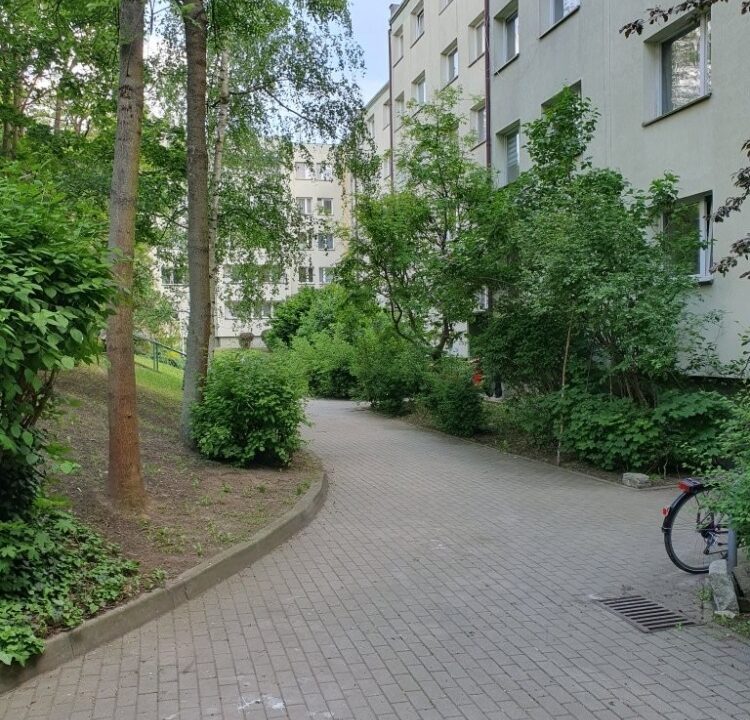 243370_3.jpg