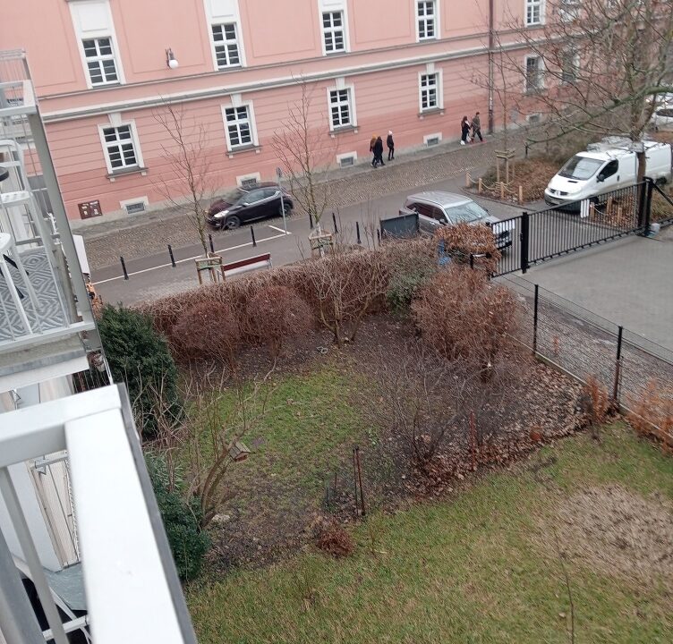 244079_3