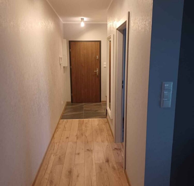 237880_3
