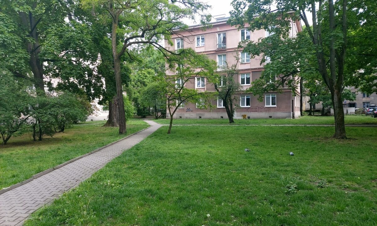 245928_3.jpg