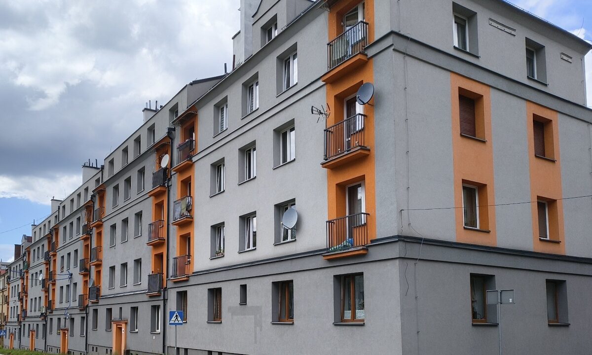 246856_3.jpg