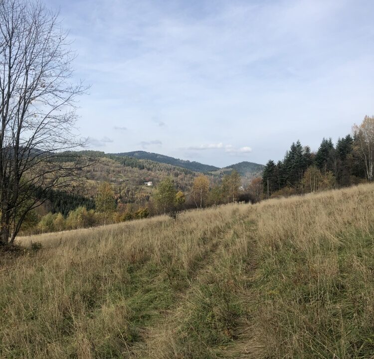 247470_3.jpg