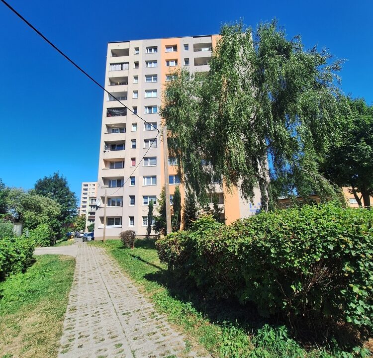 247888_3.jpg