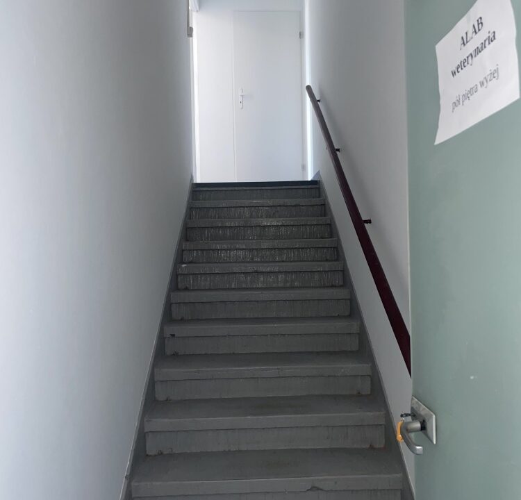 248066_3