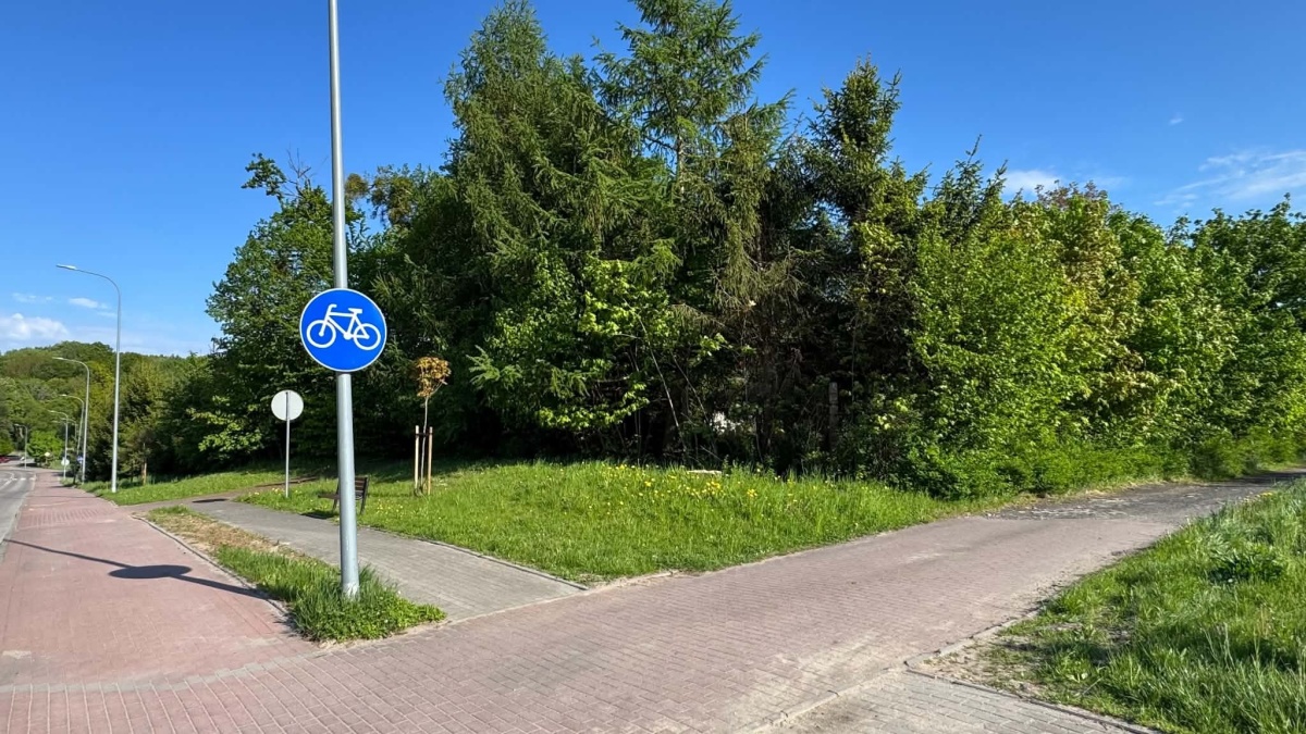 248508_3.jpg