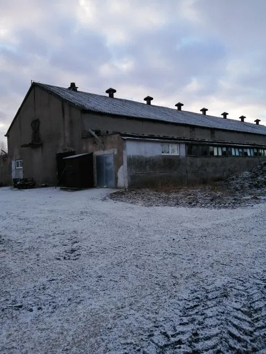249245_3.jpg