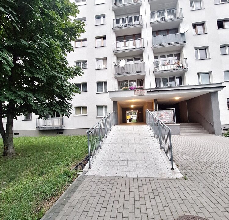 249309_3