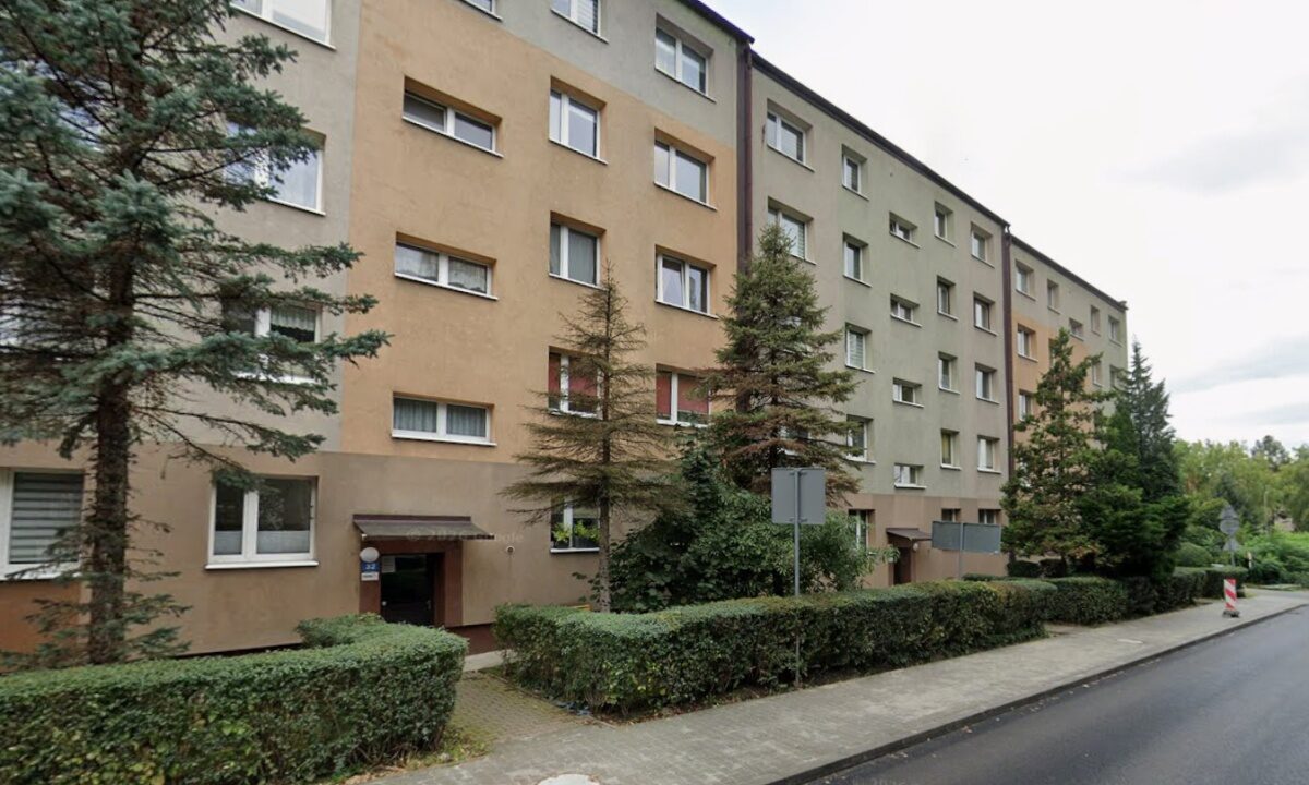 249313_3.jpg