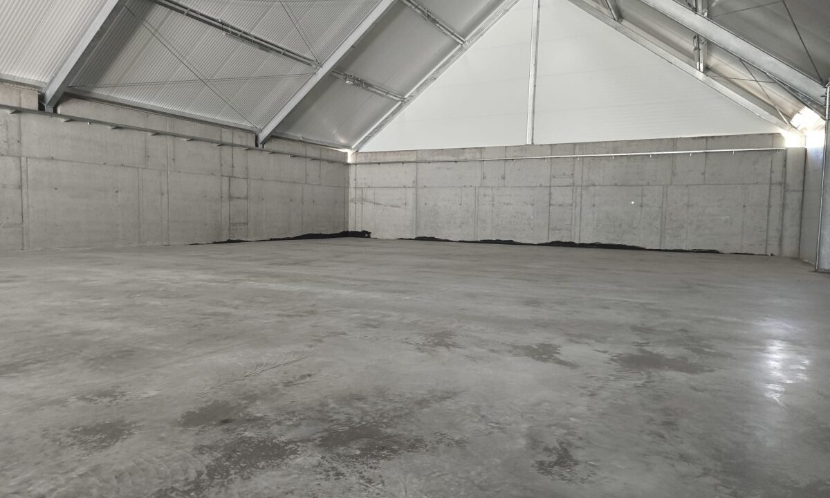 249348_3
