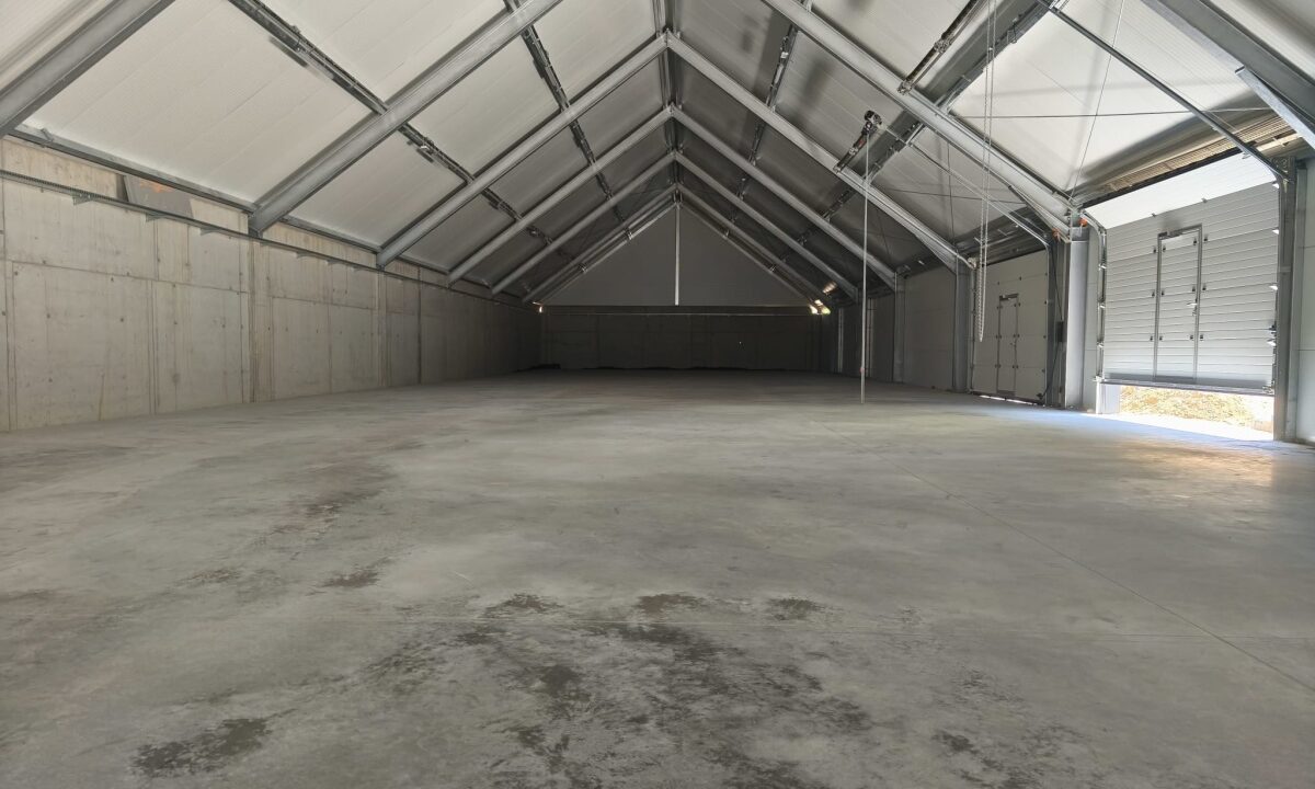 249350_3