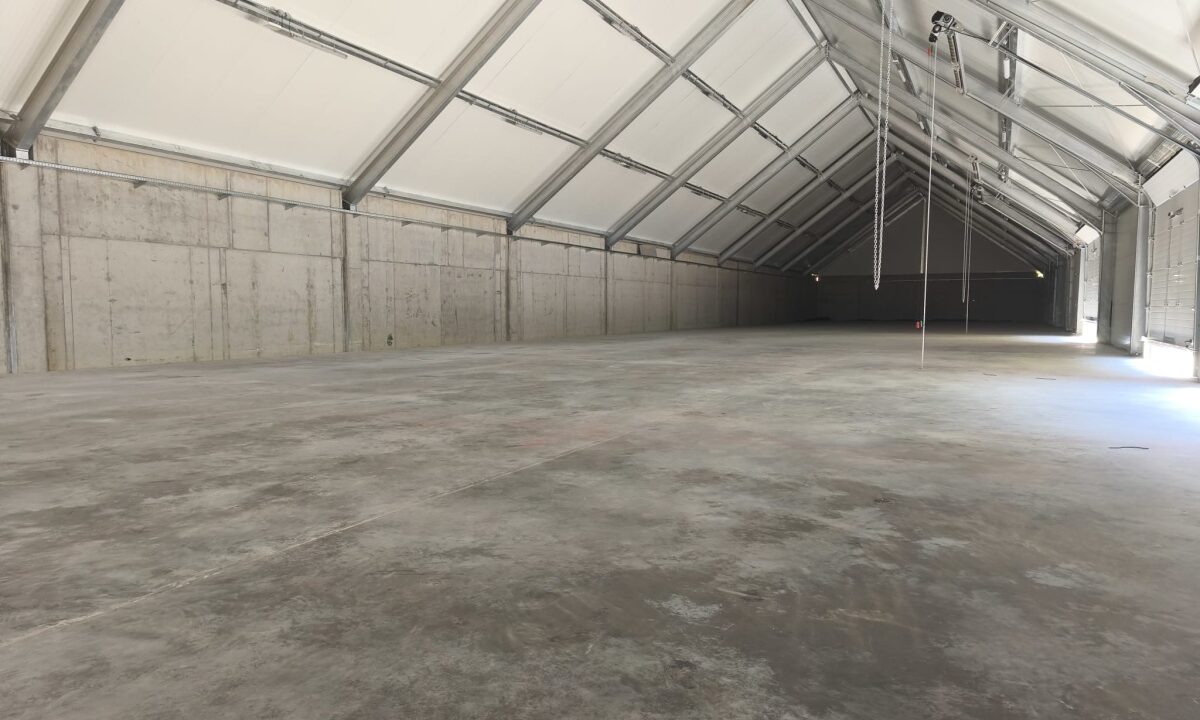 249351_3