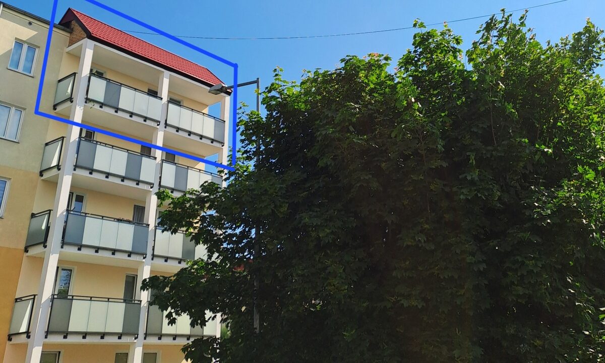 249562_3