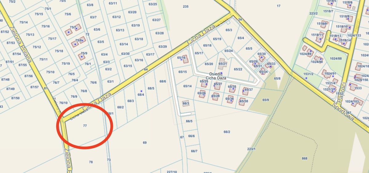 249572_3.jpg