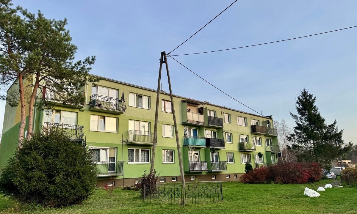 237085_3.jpg