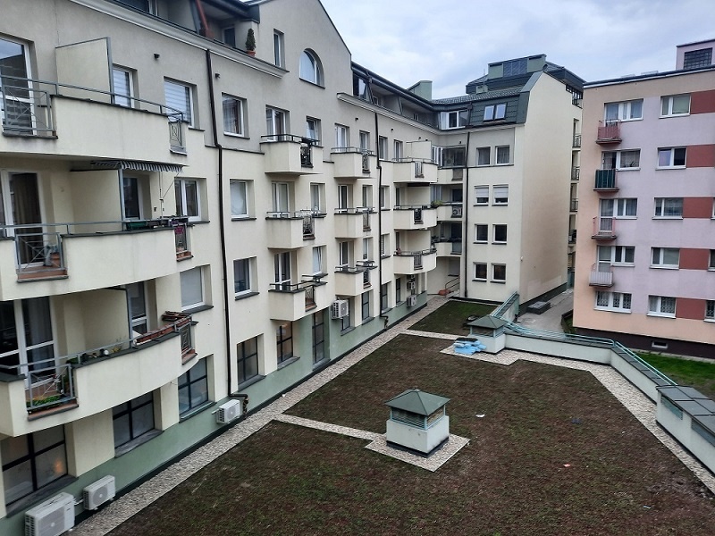 249834_3.jpg