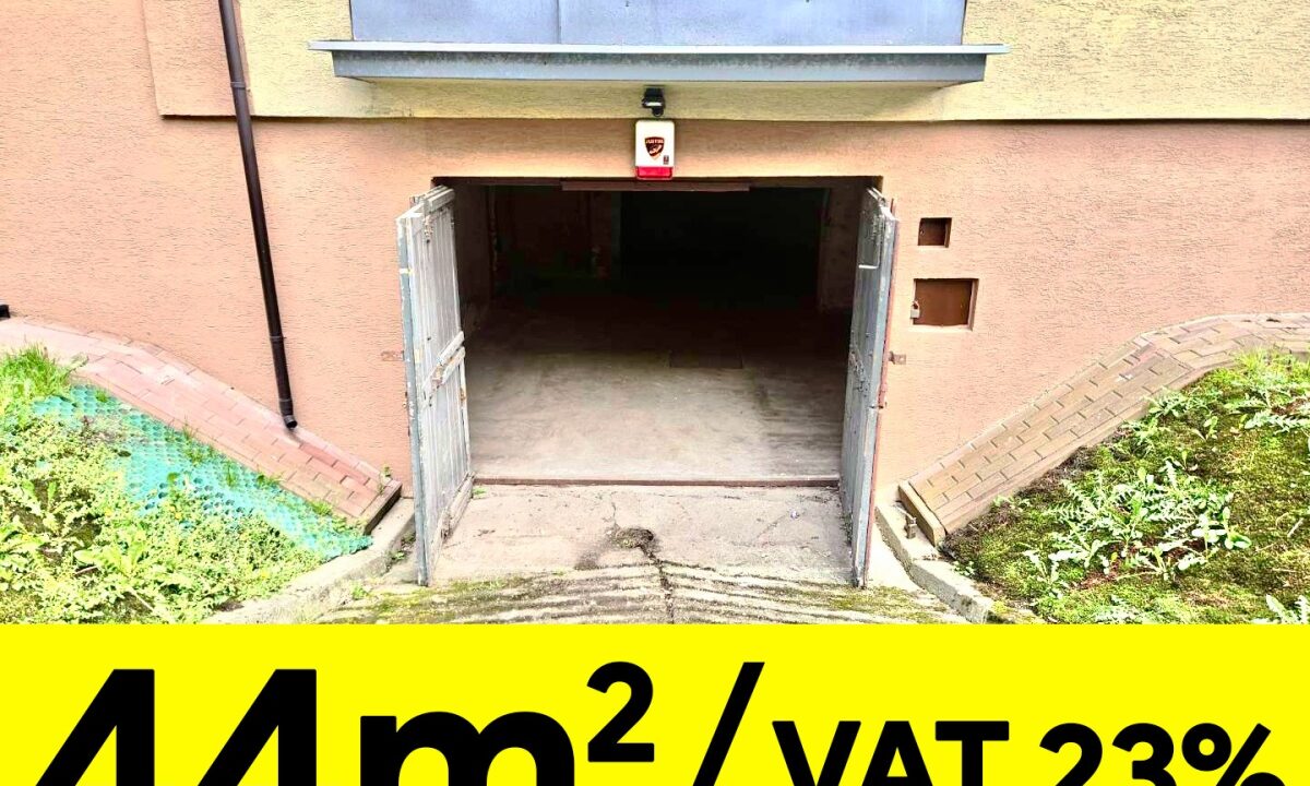 250314_3.jpg
