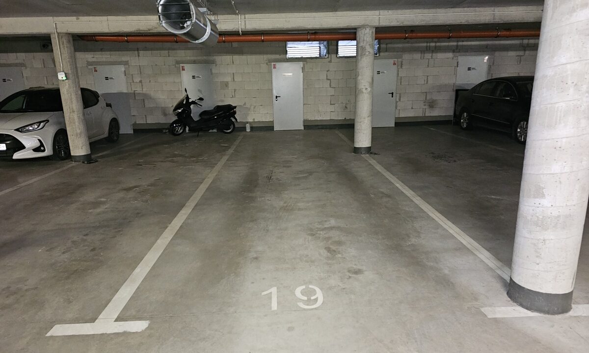 250966_3