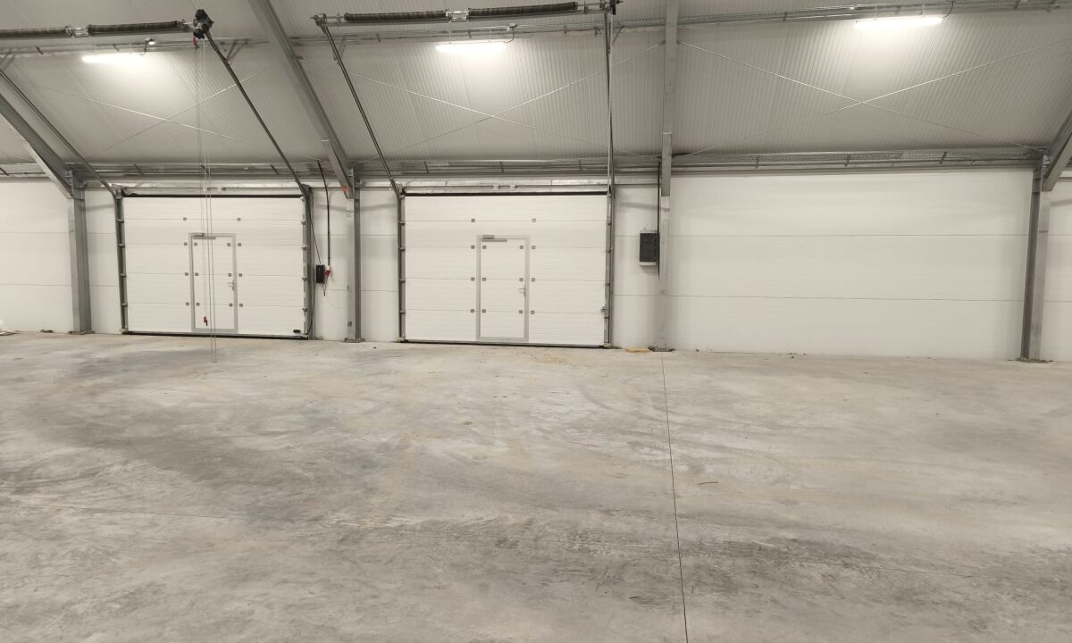 251596_3