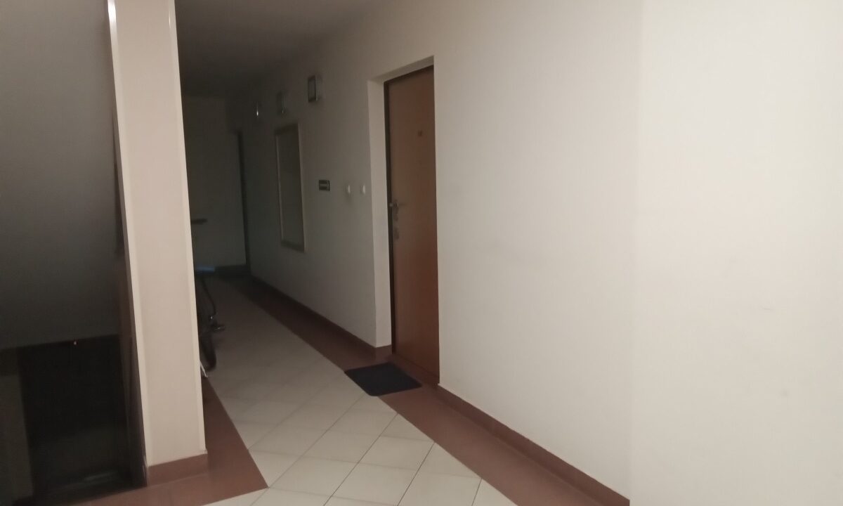 251764_3