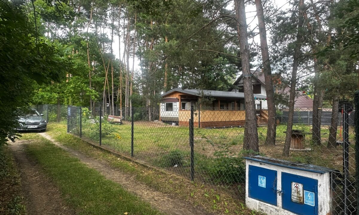 252410_3.jpg
