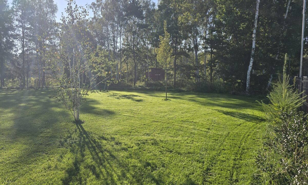 254039_3.jpg