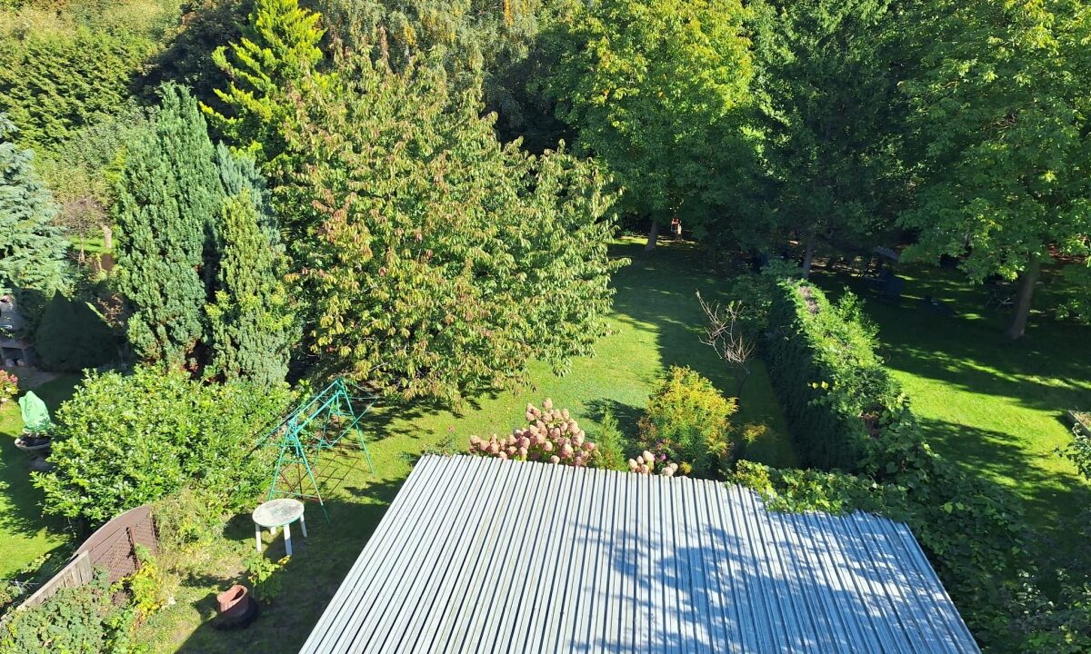 254049_3.jpg