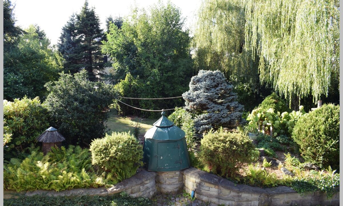 254303_3