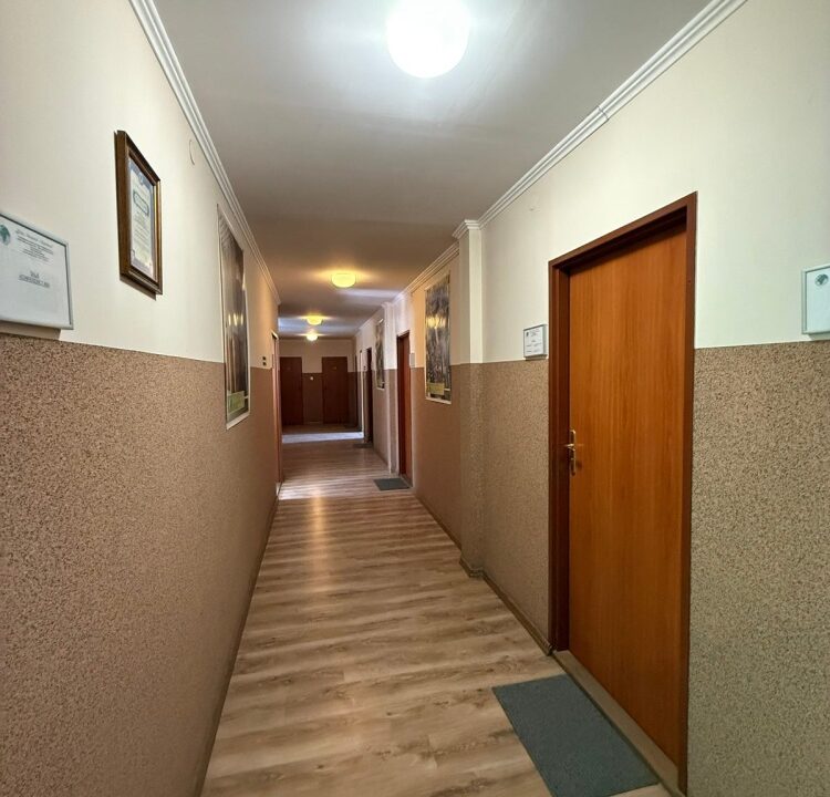 254399_3