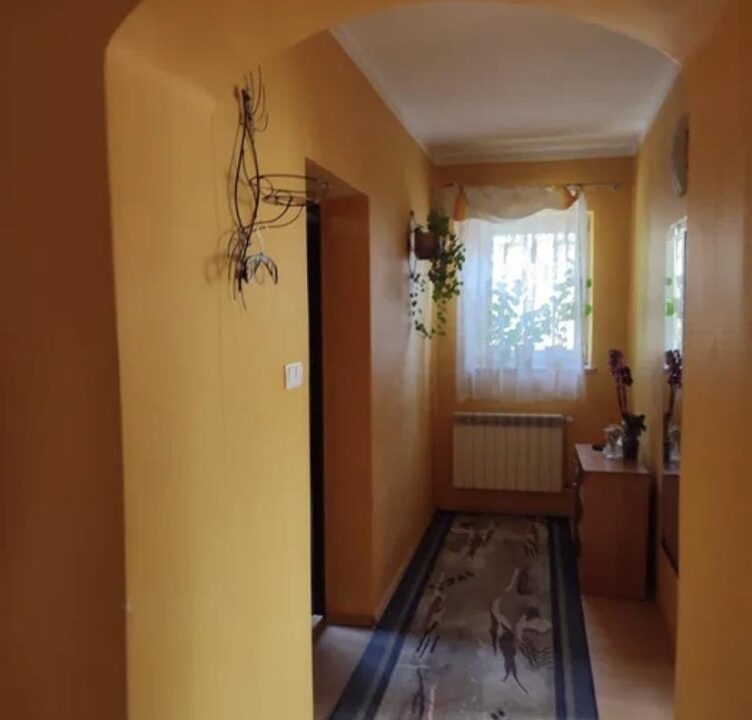 254669_3