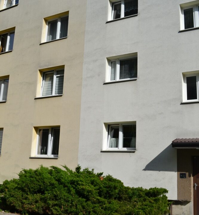 254794_3.jpg